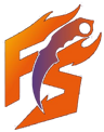 FireSkins