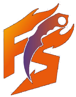 FireSkins